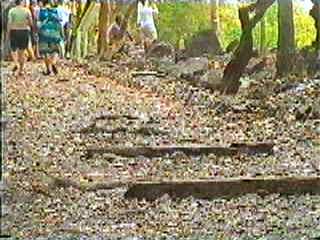 Verrottete Bahnschwellen zeugen noch von der Streckenfhrung.